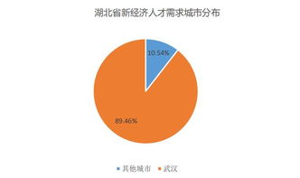 湖北省新经济人才大数据报告发布 技术研发类的薪酬水平最高